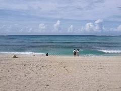 -三亚湾海居铂尔曼度假酒店