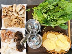 -蘑统田下·野生菌火锅