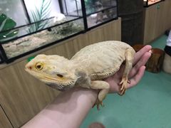 -藦茜花园宠物主题亲子互动体验馆(国顺东路店)