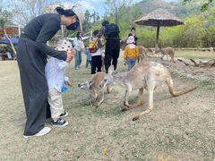-泉州海丝野生动物世界