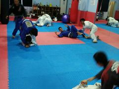 android_upload_pic-金翼跆拳道巴西柔术拳击格斗学院