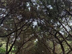 -南岳衡山风景名胜区-南岳大庙