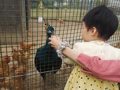 -前小桔亲子创意农场·草莓采摘·露营烧烤