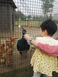 -前小桔亲子创意农场·草莓采摘·露营烧烤