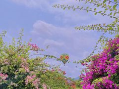 -中国科学院西双版纳热带植物园