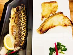 -一本钓鲔鱼屋