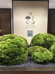 点击看大图 -广州文华东方酒店·水疗中心