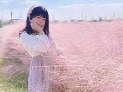 -鹅湖玫瑰文化园