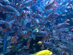 -成都浩海立方海洋公园