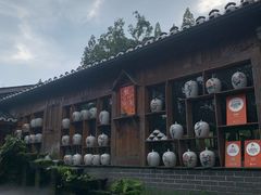 -青城甲(青城山店)