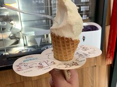 榴莲冰淇淋-野人先生现做冰淇淋(北京顺义祥云小镇店)