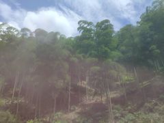 -将军关探险漂流