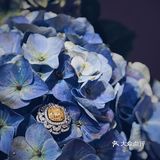 这世上独一无二的你，只有私人定制配得上