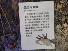 -上海长江河口科技馆