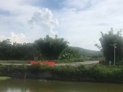 -苏家围·东江画廊旅游景区