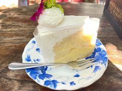 -Fern Forest Cafe