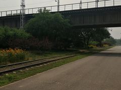 -永定河休闲森林公园