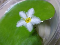 -德克士(亚中商城店)