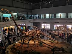 -自贡恐龙博物馆