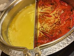 花胶锅底-一绪に寿喜烧(荟聚店)