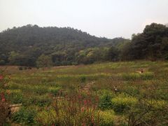 -广州市石门国家森林公园
