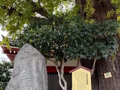 -浅草寺