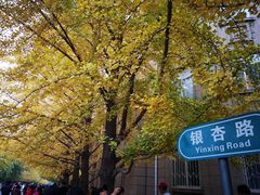 -辽宁大学(崇山校区)