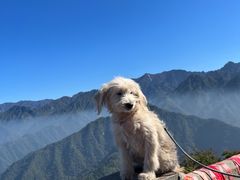 -终南山南五台景区