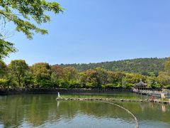 -九龙潭景区