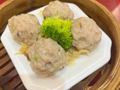 -泉龙渔村·粤式早茶·金牌烧鹅(中山三乡店)