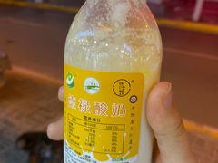 -德禄酸奶(莫家街店)