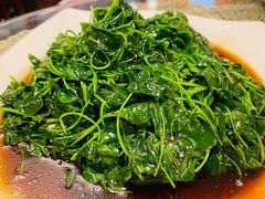 金花菜酒香-新聚丰菜馆(太监弄店)