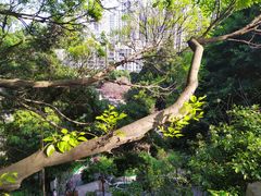 -乌山风景区