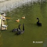 '福州植物园' '福州国家森林公园'  一大早来看到