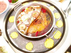 -执牛耳涮烤牛排火锅(伊河路店)