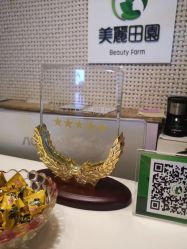 -美丽田园