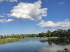 -永定河休闲森林公园