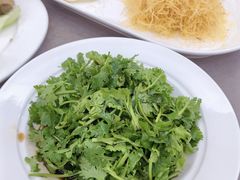 -丁老爷子苏香圆