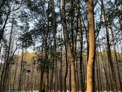 -艾溪湖湿地公园