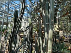 -国家植物园南园