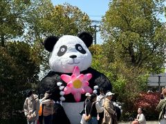 -苏州太湖国家湿地公园