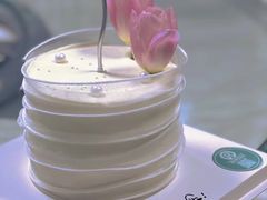 -麻奢鸽农庄·梦里水乡