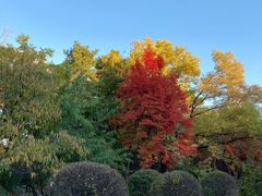 景点-长春市南湖公园