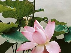 -黄兴公园