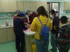 -北京观赏动物医院·24小时大型综合·猫专科·异宠专科