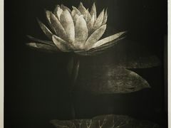 -徐汇艺术馆