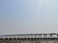 -南汇新城海滩