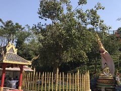 -西双版纳勐泐文化旅游区