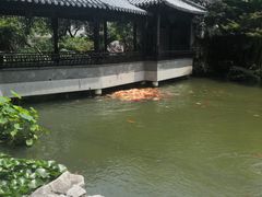 -苏苑饭店-中餐厅(长桥地区店)