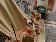 -Joymean coffee.见面咖啡